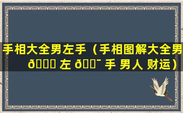 手相大全男左手（手相图解大全男 🍁 左 🐯 手 男人 财运）